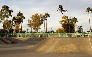 showing of red BMX HD wallpaper